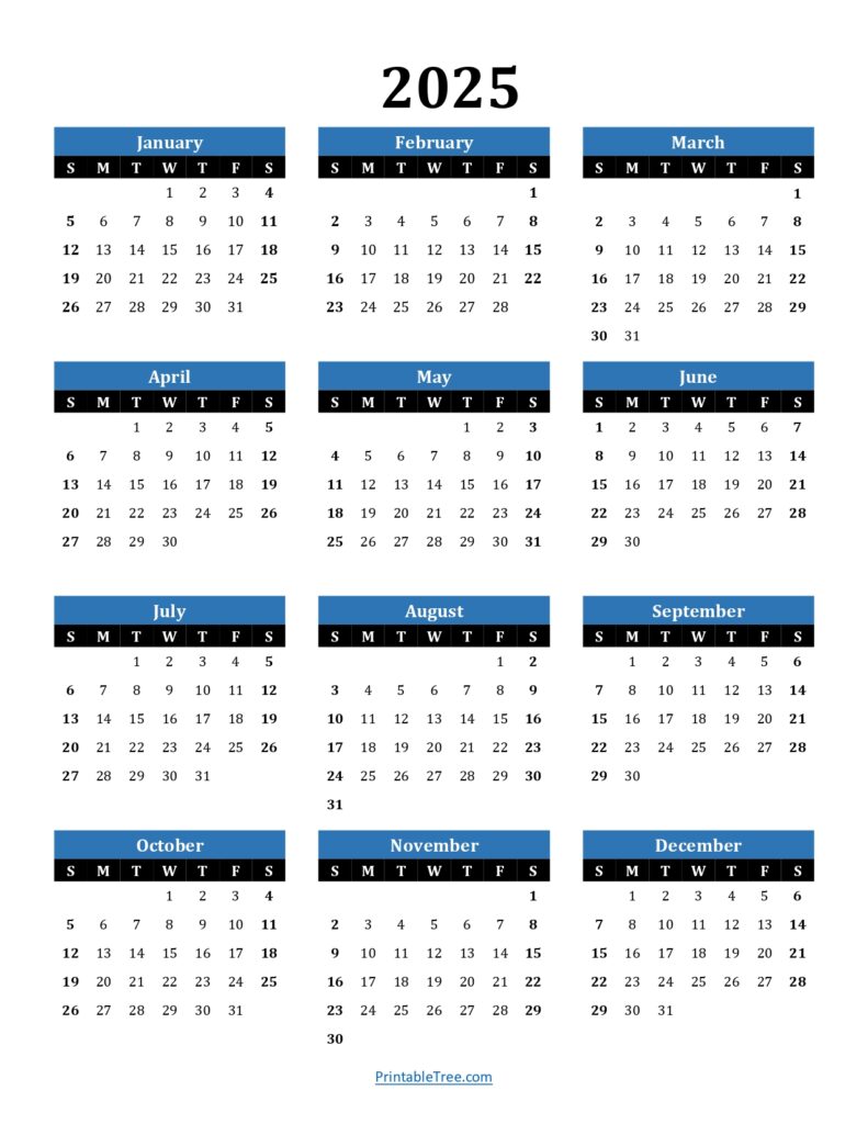 2025 Calendar One Page Blue Portrait