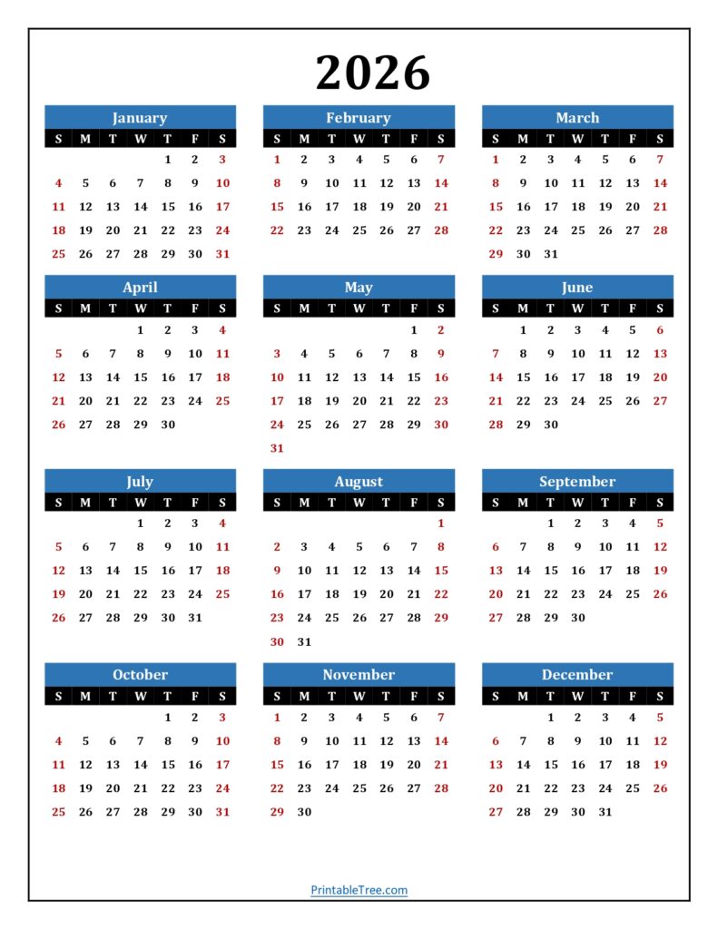 2026 Calendar One Page Blue Portrait