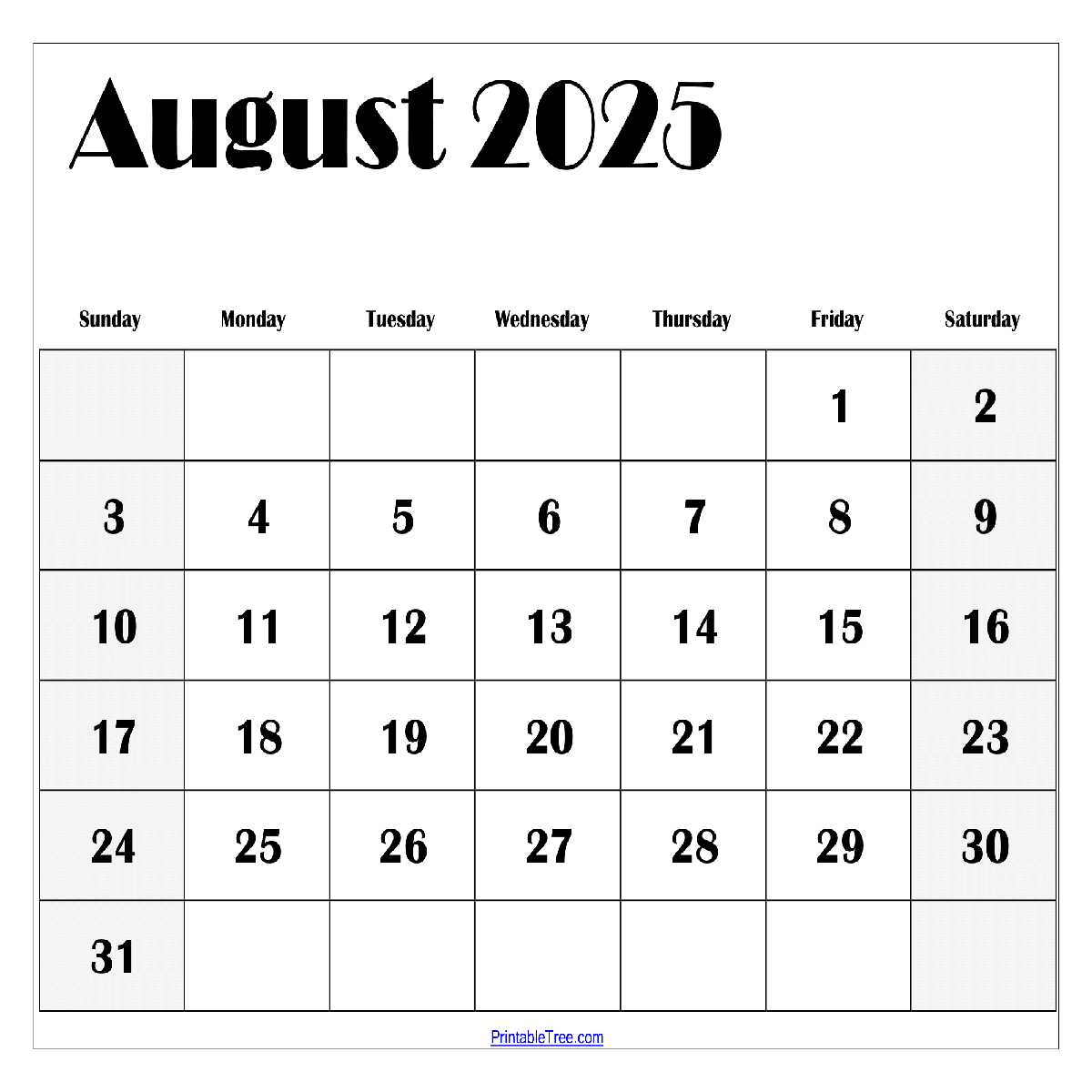 August 2025 Blank Calendar