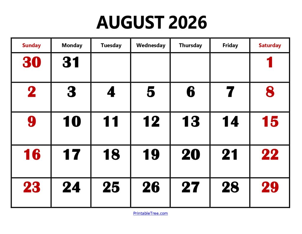 August 2026 Calendar Large Number