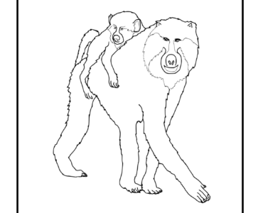 Baboon Coloring Pages for preschoolers