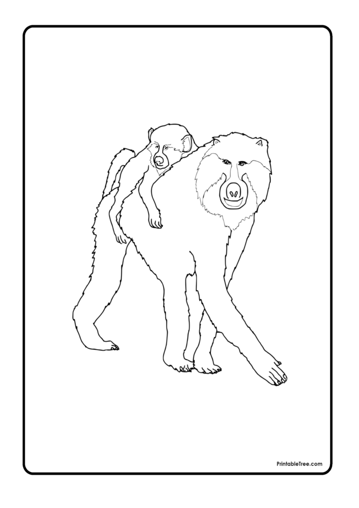 Baboon Coloring Pages for preschoolers