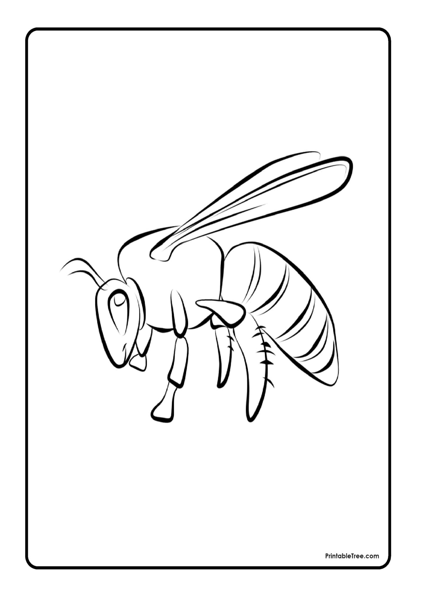 Free Printable Bee Coloring Pages PDF for Kids and Adults