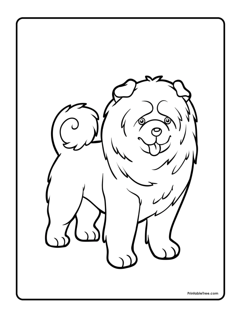 Dog Coloring Pages Chow Chow Curled tail Outline