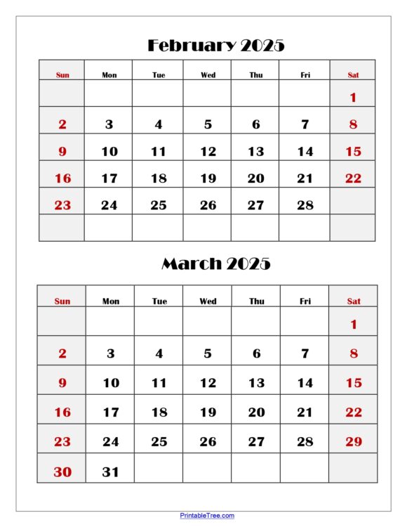 February and March 2025 Calendar Printable Two Months Calendar