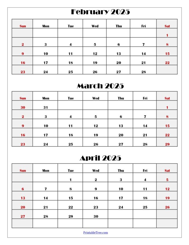 January to April 2025 Calendar Printable PDF Four Months Calendar