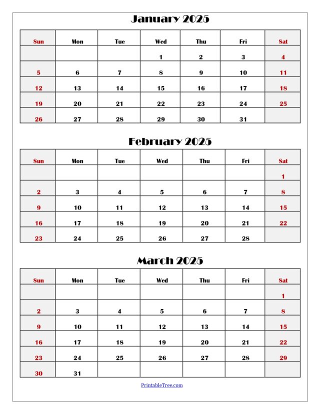 January to March 2025 Calendar | Three Months Calendar