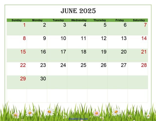 Free June 2025 Calendar Printable PDF Template with Holidays