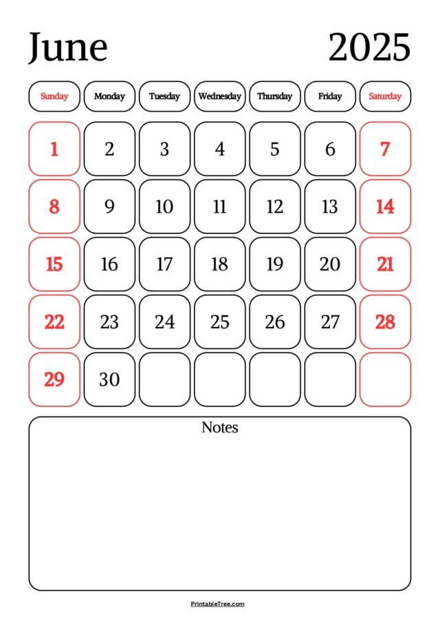 Free June 2025 Calendar Printable PDF Template with Holidays