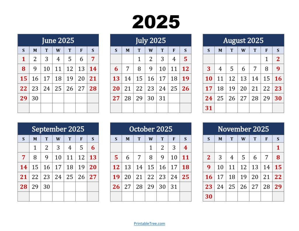 June to November 2025 Calendar