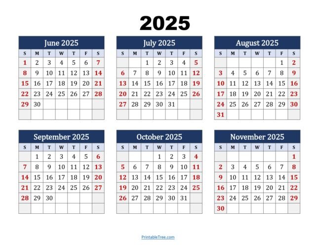 June to November 2025 Calendar Printable PDF | Six Months Calendar