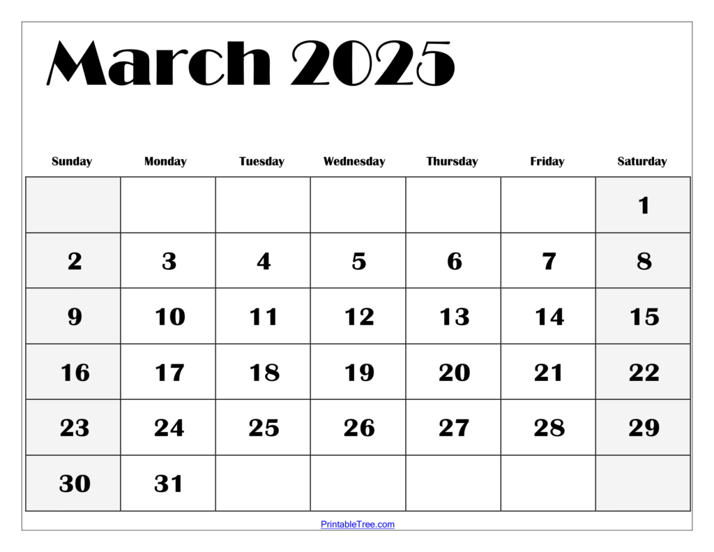 Calendar Events March 2025