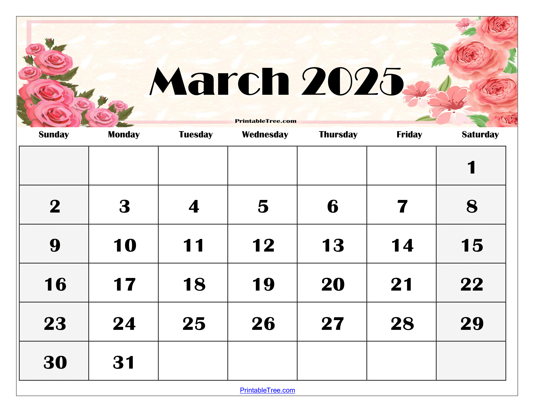 March Printable Calendar 2025 myra courtney