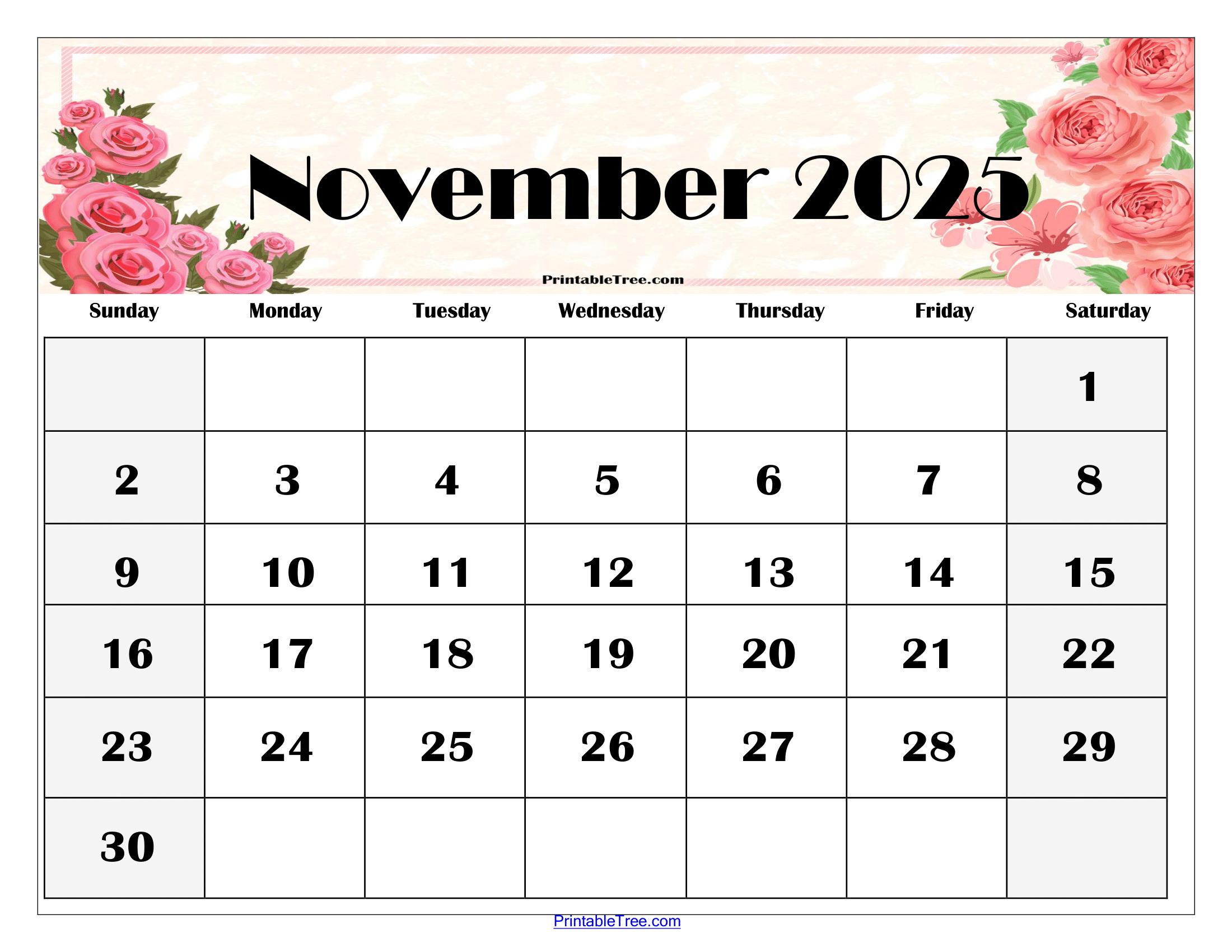 Calendar 2025 November India