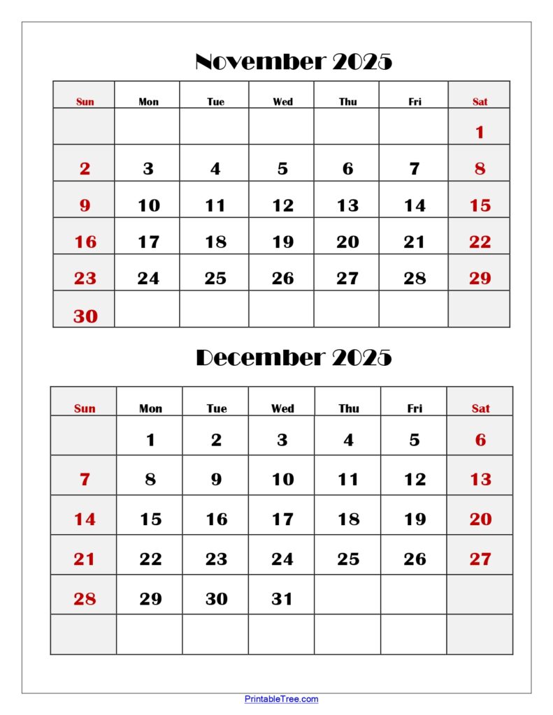 November and December 2025 Calendar