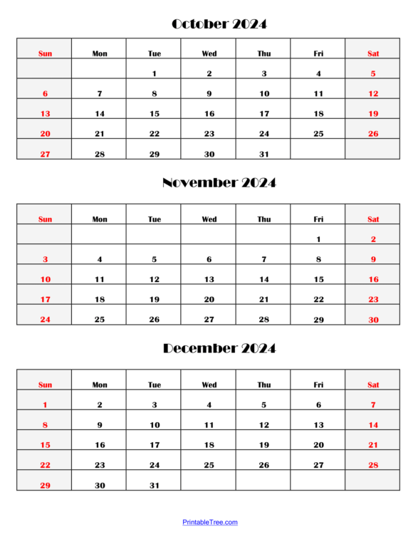 Three Months Calendar Printable PDF 2024