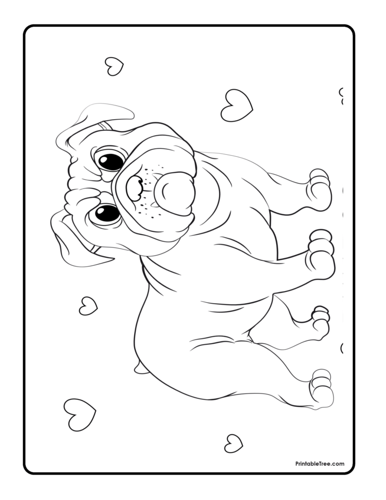 Puppy Coloring Pages Bulldog Outline