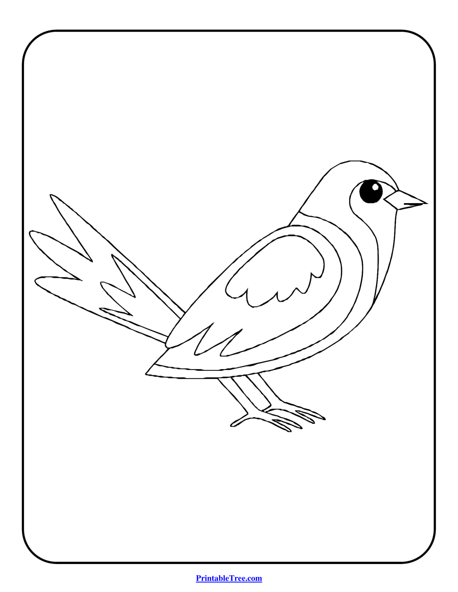 Free Printable Bird Coloring Pages PDF for Kids and Adults