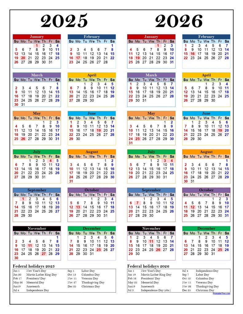 Two Year Calendar 2025-2026 Portrait Multi Color